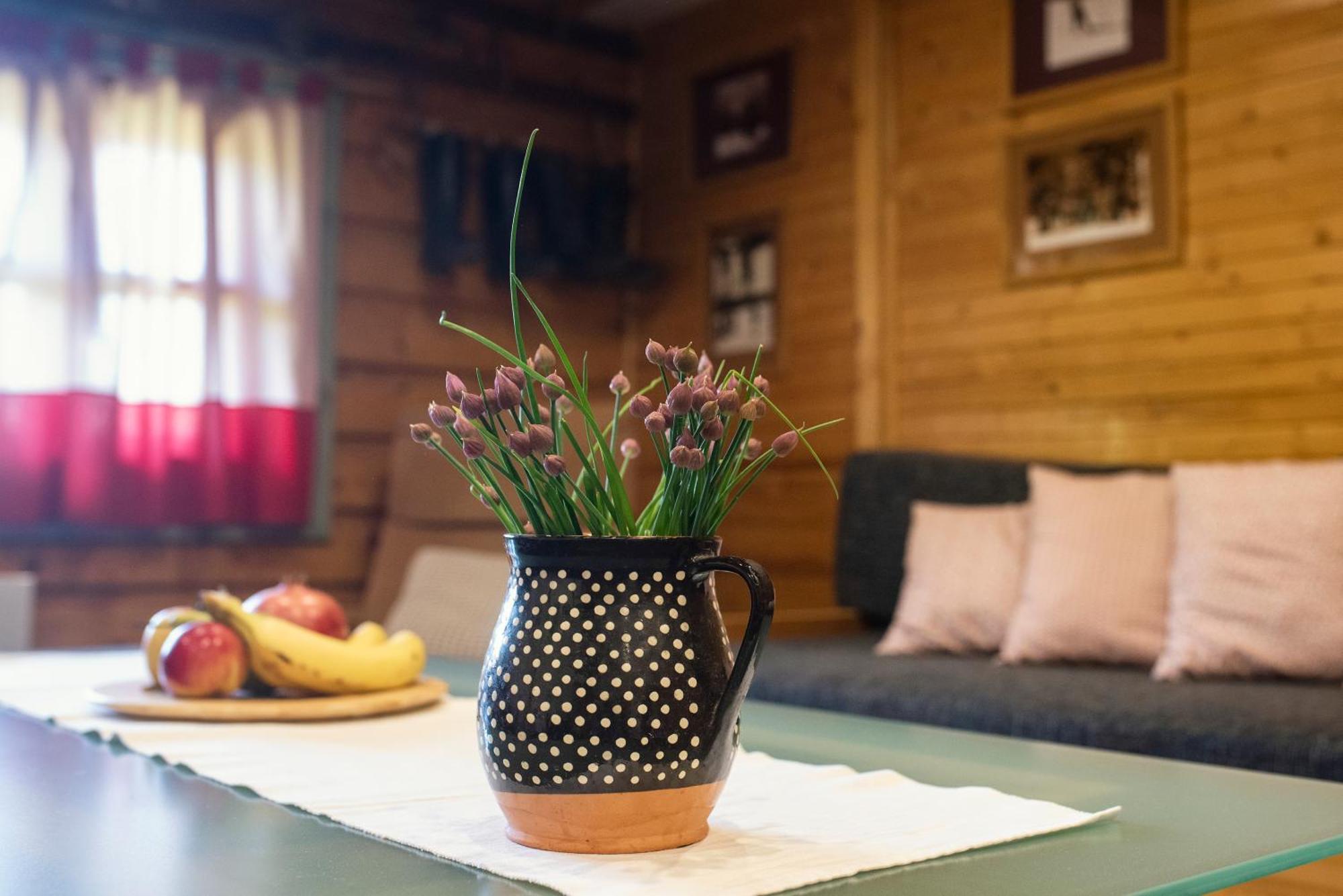Chata Krajinka Ždiar Esterno foto